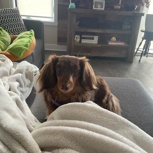 Meet your Posher, Patricia